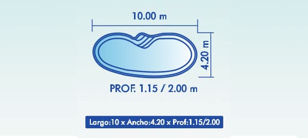 Riñon 10