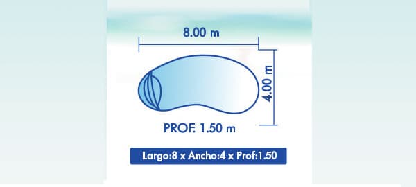 Riñon 8